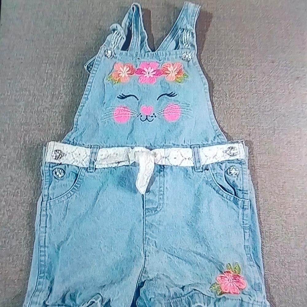 Girls overalls 4T cat face bib.